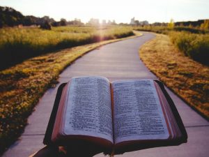 A person holds a bible out with the sun in the background.